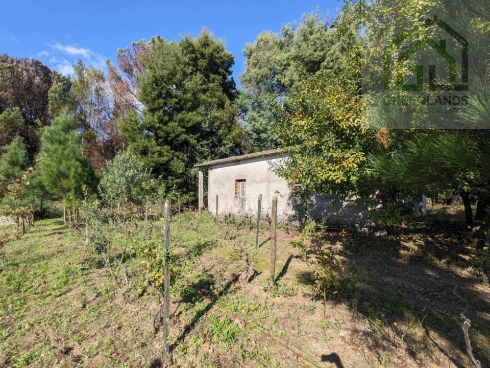 Terreno para Venda em Povoa de Midões Foto 10