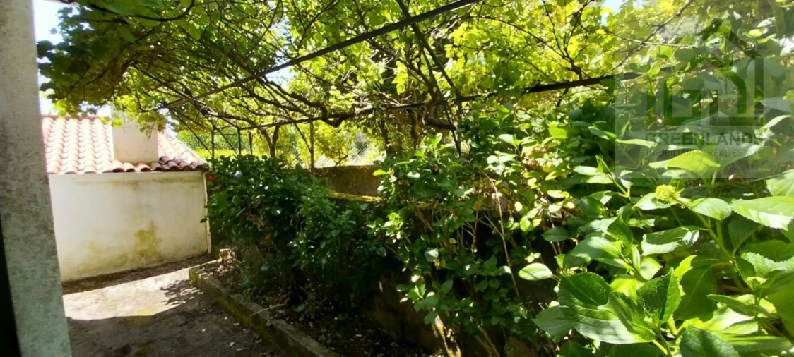 Moradia T5 para Venda em Cepos e Teixeira Foto 37