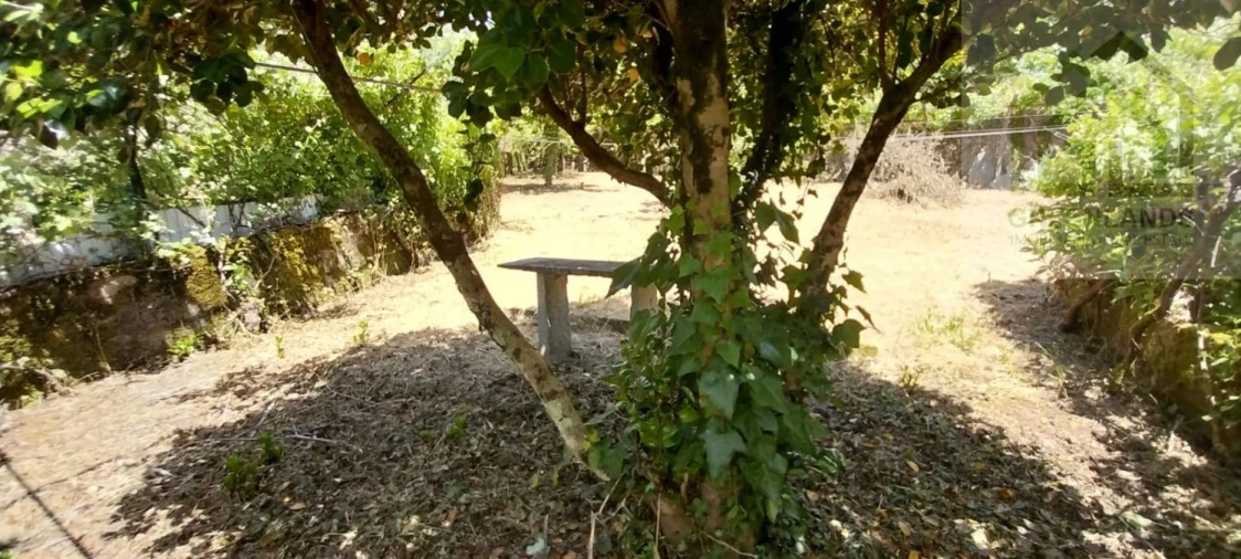 Moradia T5 para Venda em Cepos e Teixeira Foto 34