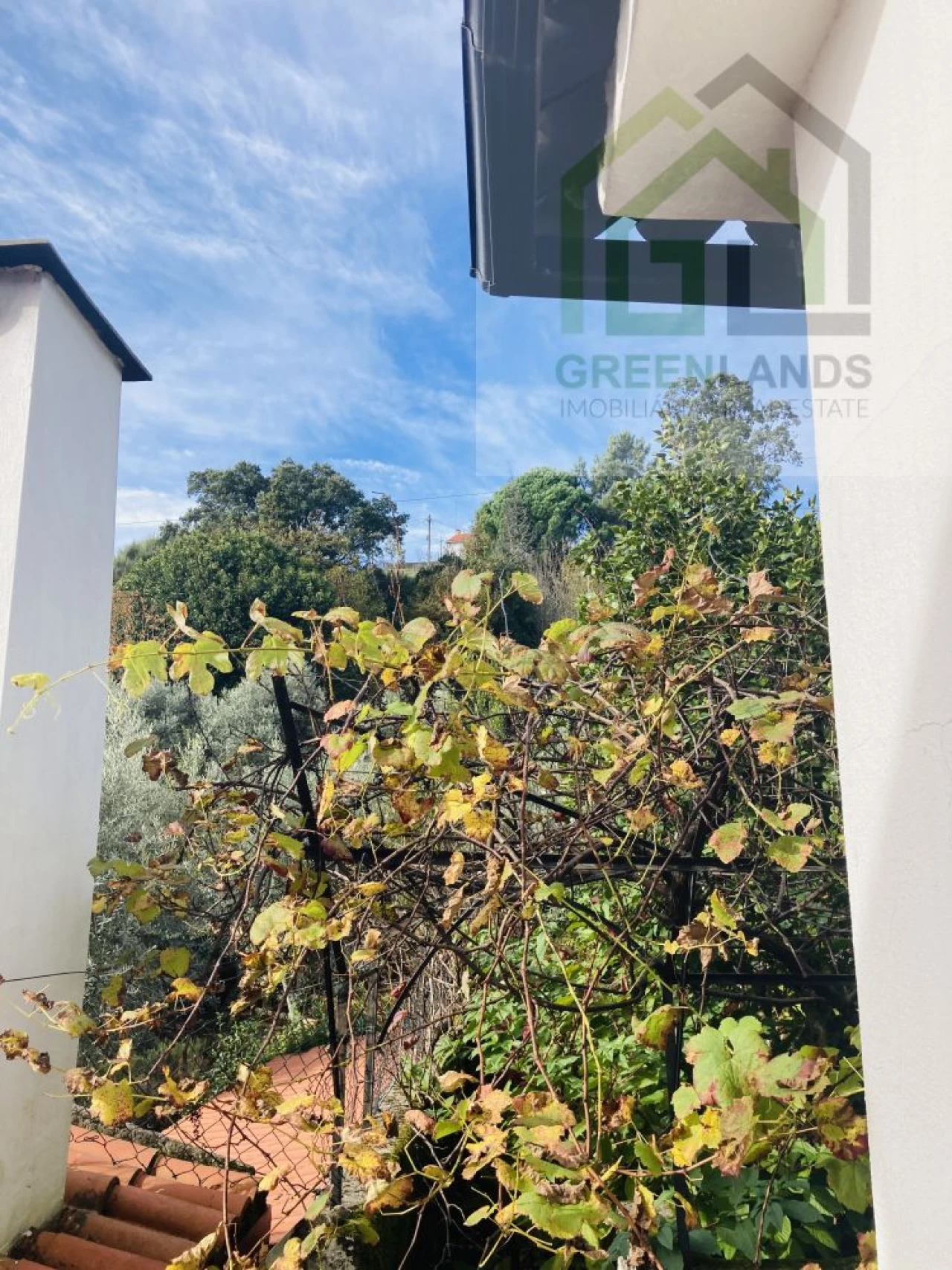 Moradia T5 para Venda em Cepos e Teixeira Foto 38