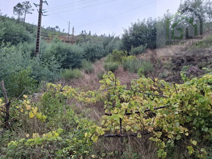 Moradia T4 para Venda em Cerdeira e Moura da Serra Foto 15