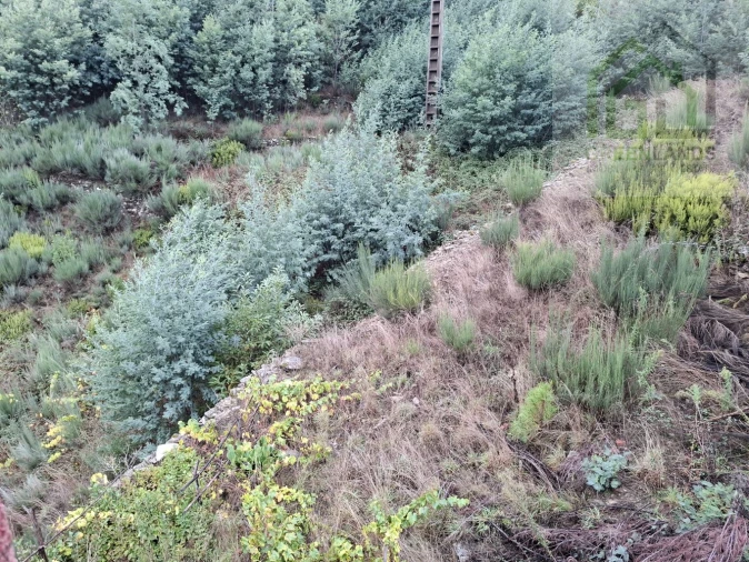 Moradia T4 para Venda em Cerdeira e Moura da Serra Foto 11