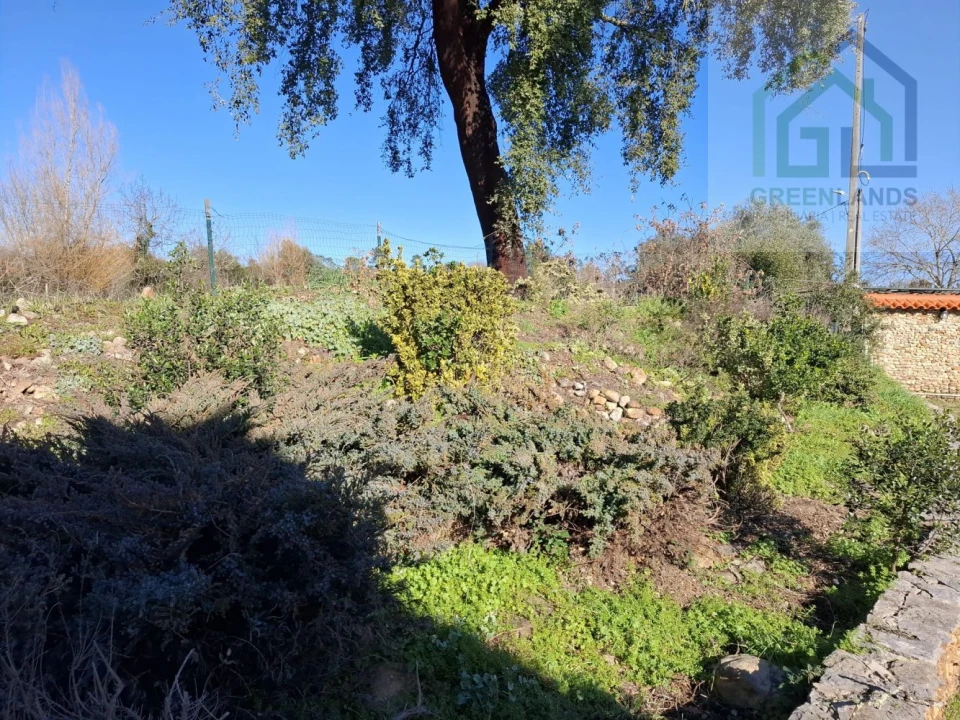 Quinta T3 para Venda em Arganil Foto 22