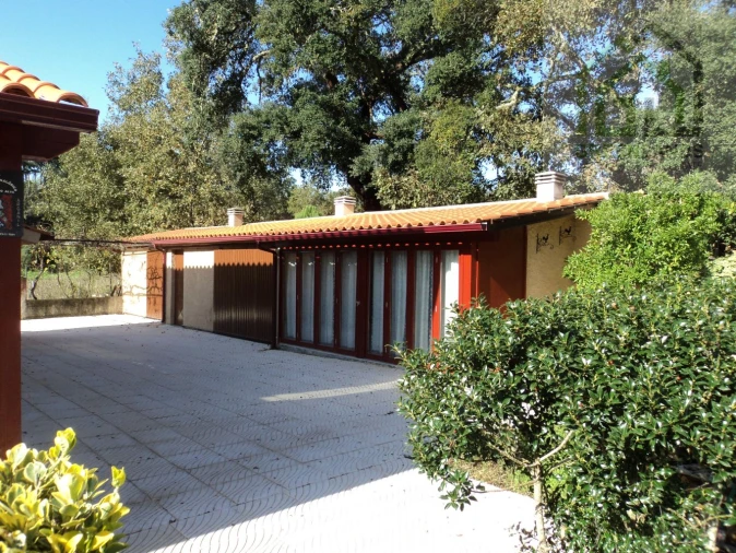 Quinta T3 para Venda em Arganil Foto 40