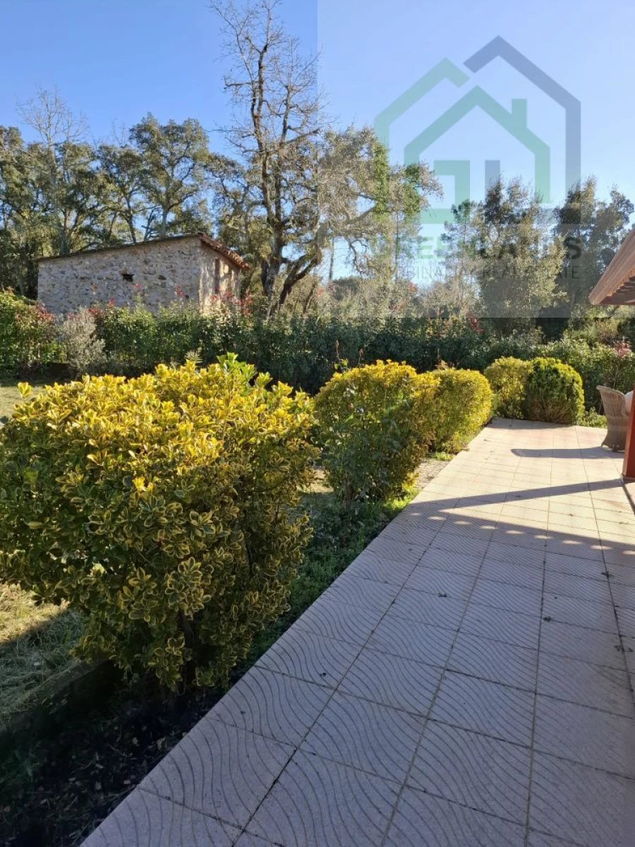 Quinta T3 para Venda em Arganil Foto 19