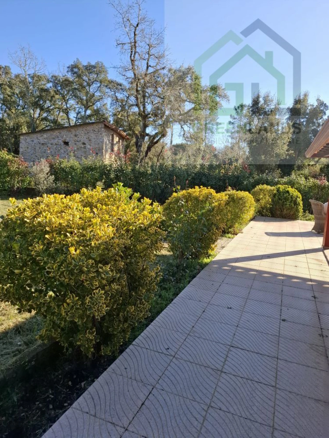 Quinta T3 para Venda em Arganil Foto 19