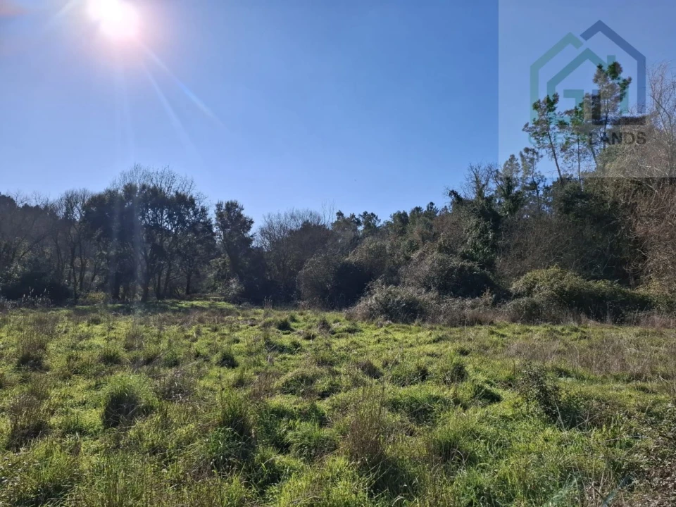 Quinta T3 para Venda em Arganil Foto 23