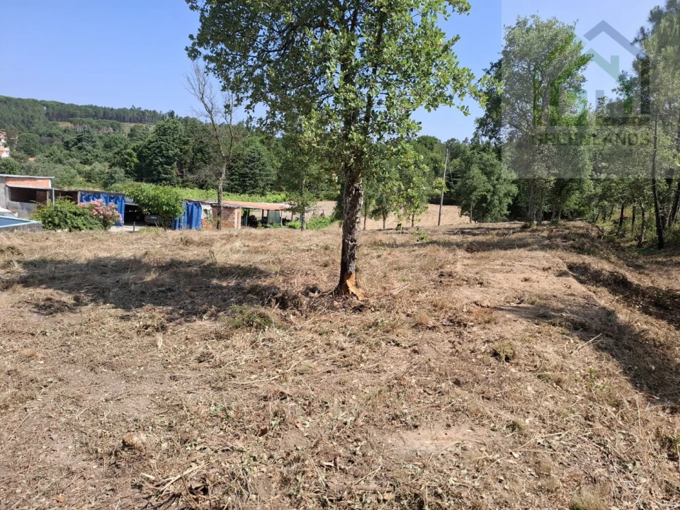 Terreno para Venda em Tabua Foto 6