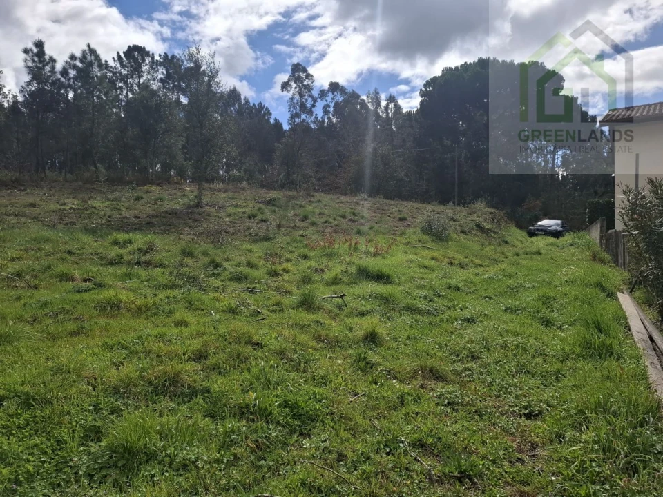 Terreno para Venda em Tabua Foto 3