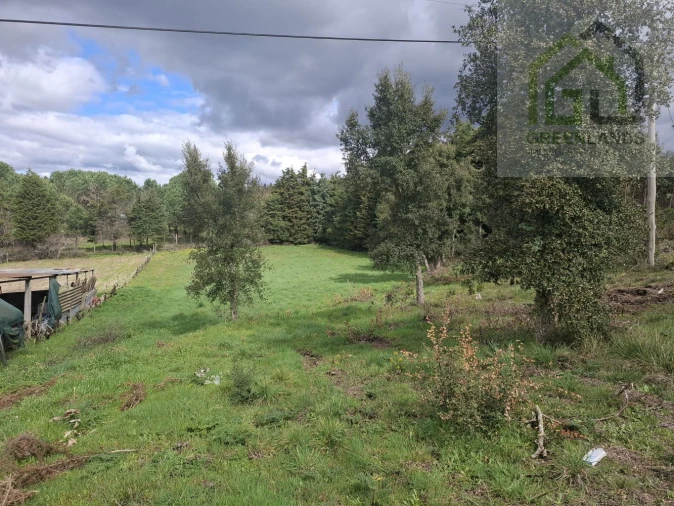 Terreno para Venda em Tabua Foto 14