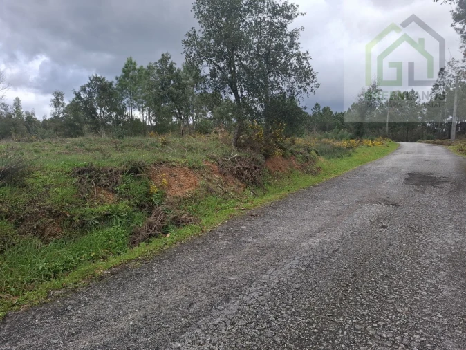 Terreno para Venda em Tabua Foto 20