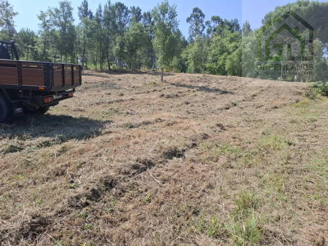 Terreno para Venda em Tabua Foto 21