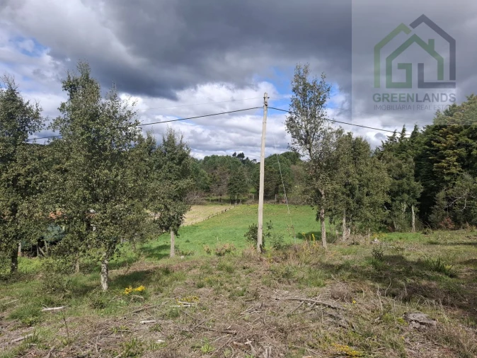 Terreno para Venda em Tabua Foto 11