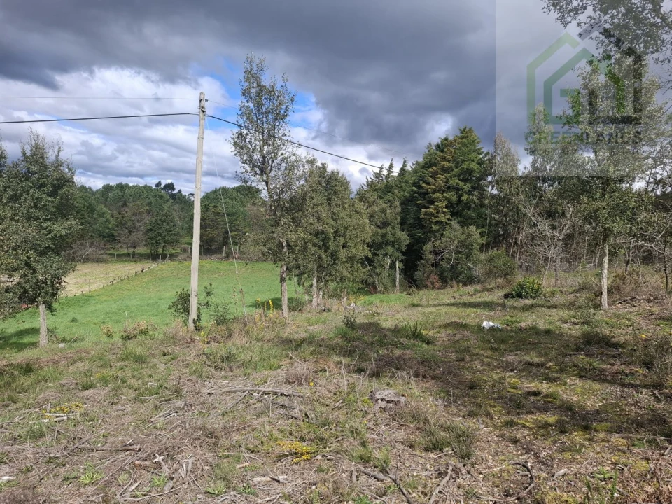 Terreno para Venda em Tabua Foto 1