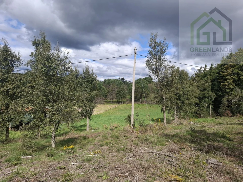 Terreno para Venda em Tabua Foto 11