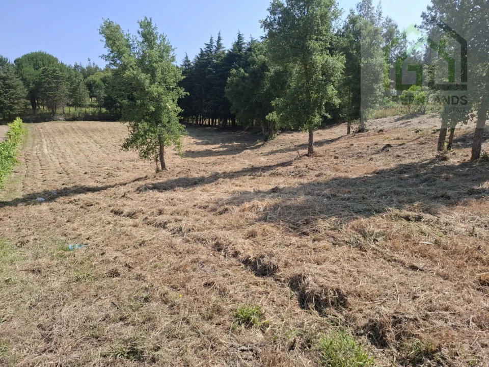 Terreno para Venda em Tabua Foto 5