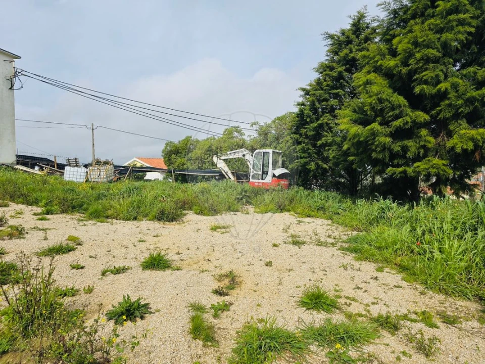 Terreno para Venda em Santiago dos Velhos Foto 3
