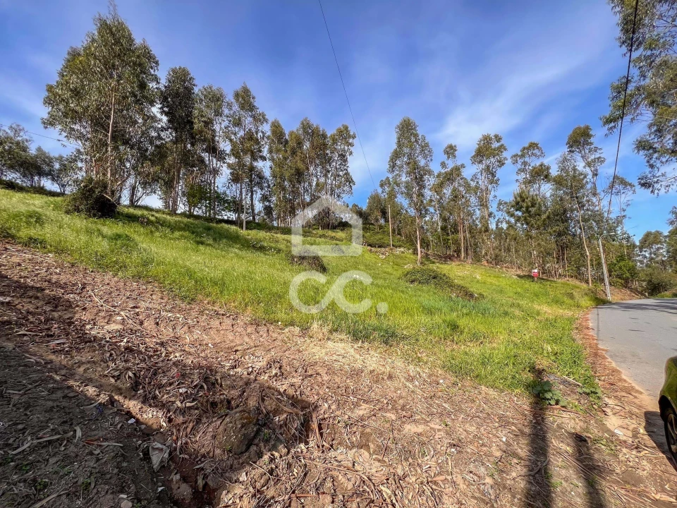 Terreno para Venda em Abação e Gémeos Foto 10