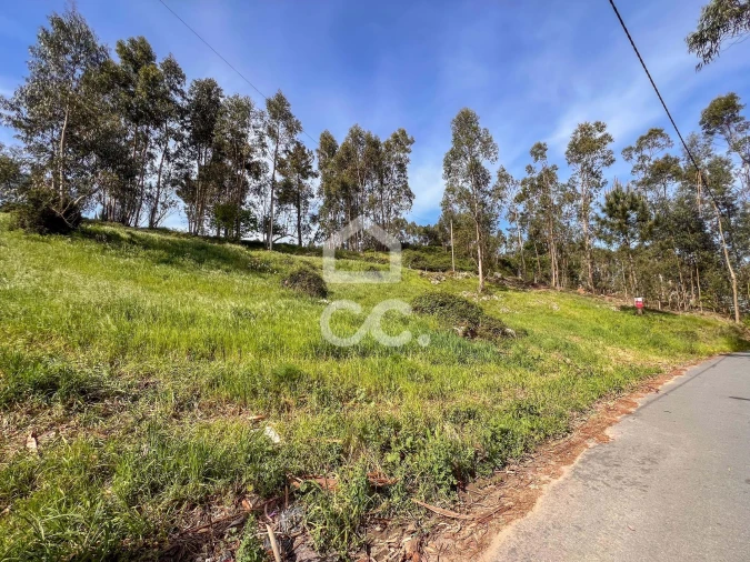 Terreno para Venda em Abação e Gémeos Foto 11
