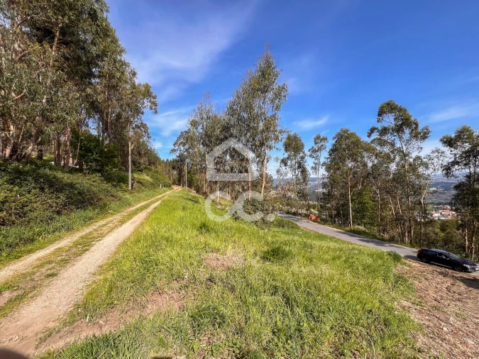 Terreno para Venda em Abação e Gémeos Foto 8