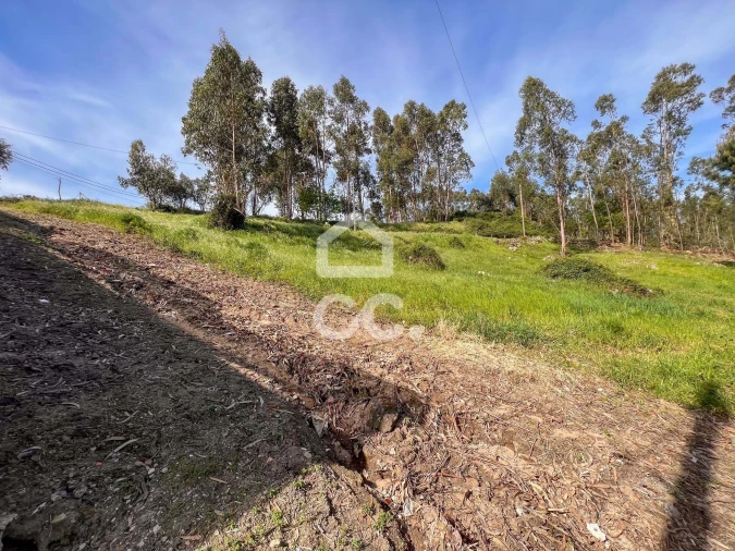 Terreno para Venda em Abação e Gémeos Foto 2