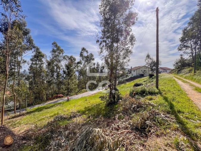 Terreno para Venda em Abação e Gémeos Foto 6