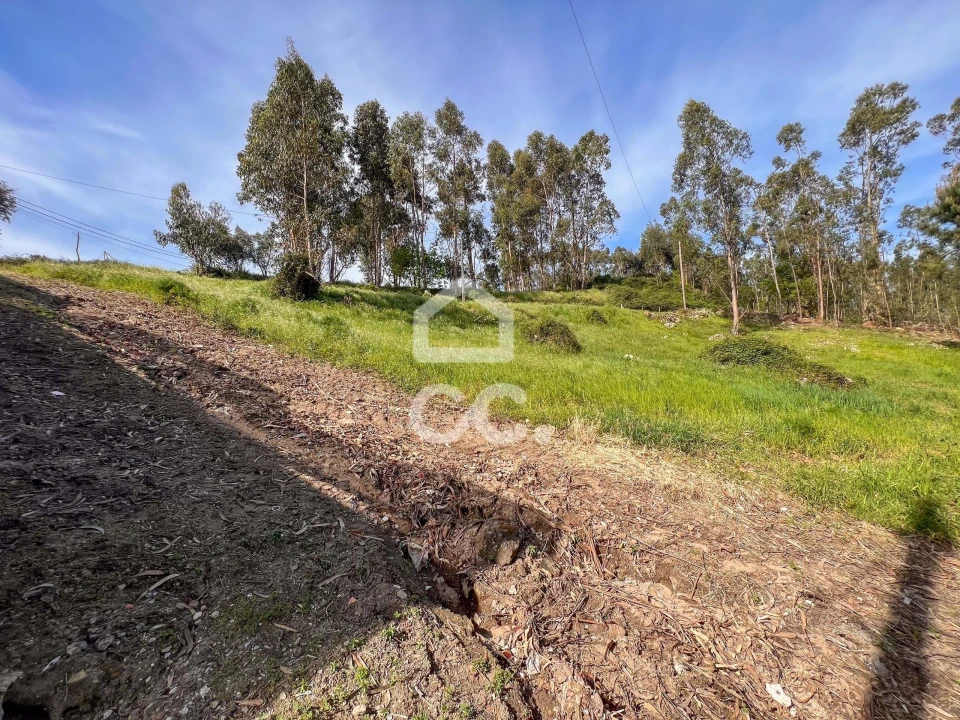 Terreno para Venda em Abação e Gémeos Foto 2