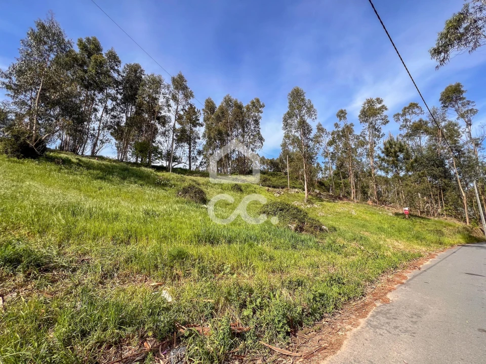 Terreno para Venda em Abação e Gémeos Foto 12