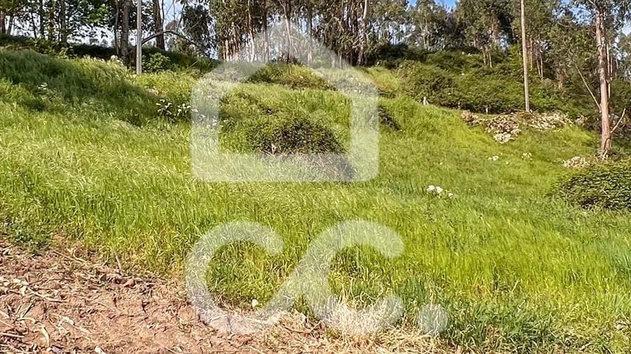 Terreno para Venda em Abação e Gémeos