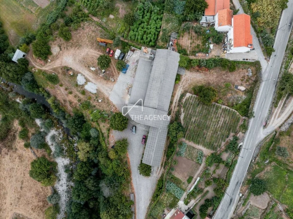 Armazém para Venda em Manteigas (São Pedro) Foto 18