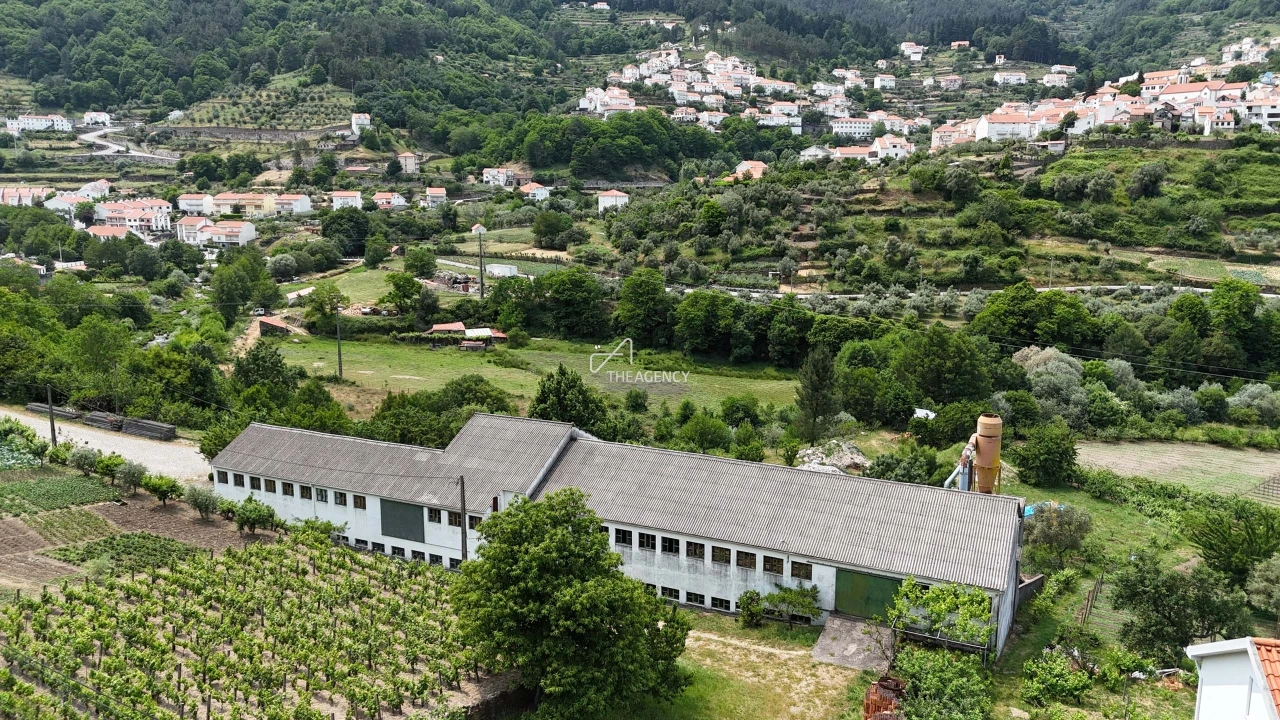 Armazém para Venda em Manteigas (São Pedro) Foto 16