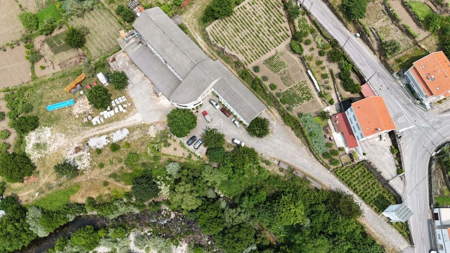 Armazém para Venda em Manteigas (São Pedro) Foto 8