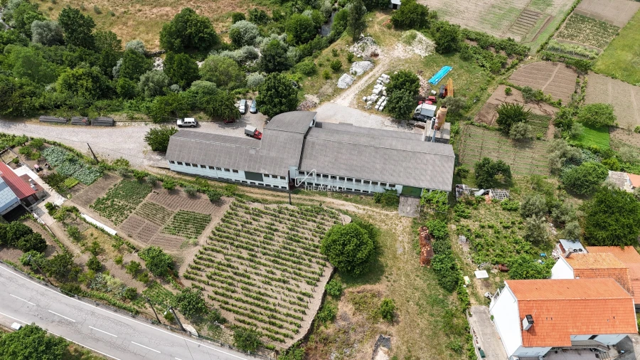 Armazém para Venda em Manteigas (São Pedro) Foto 17