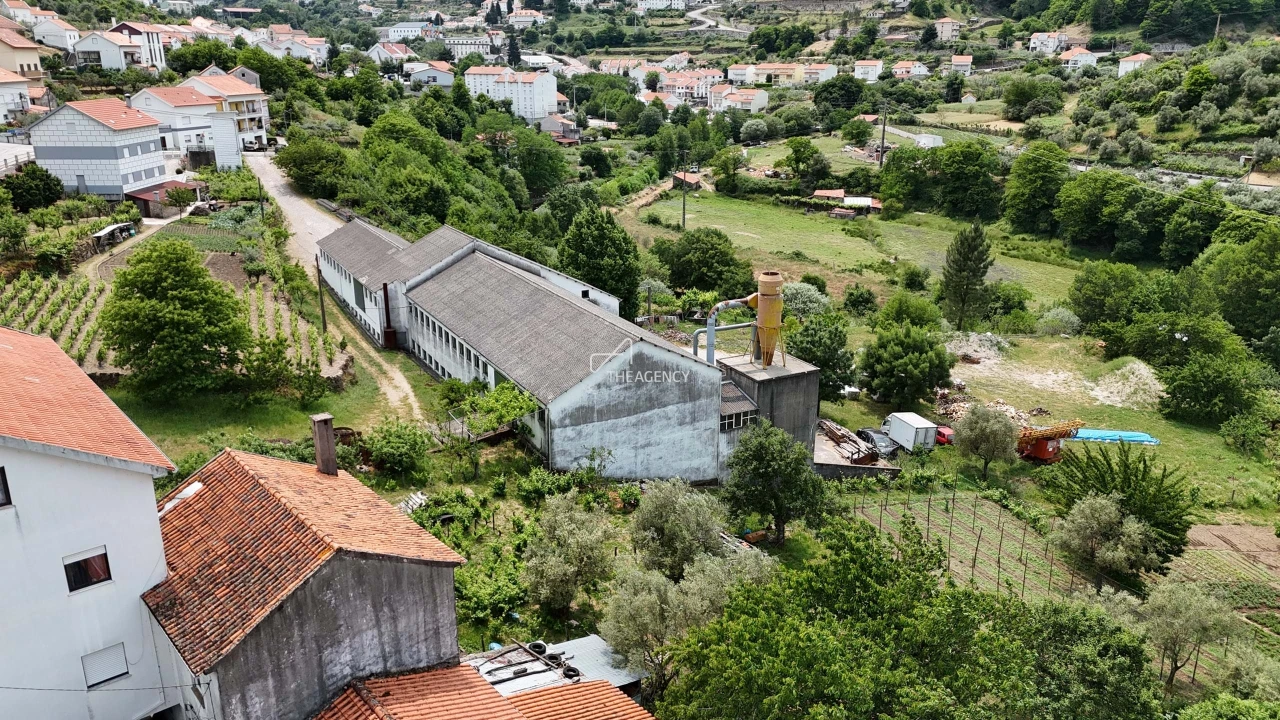 Armazém para Venda em Manteigas (São Pedro) Foto 15