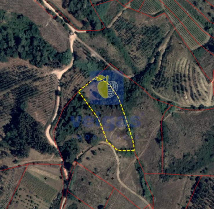 Terreno Agricola ou Rústico para Venda em Maxial e Monte Redondo Foto 18
