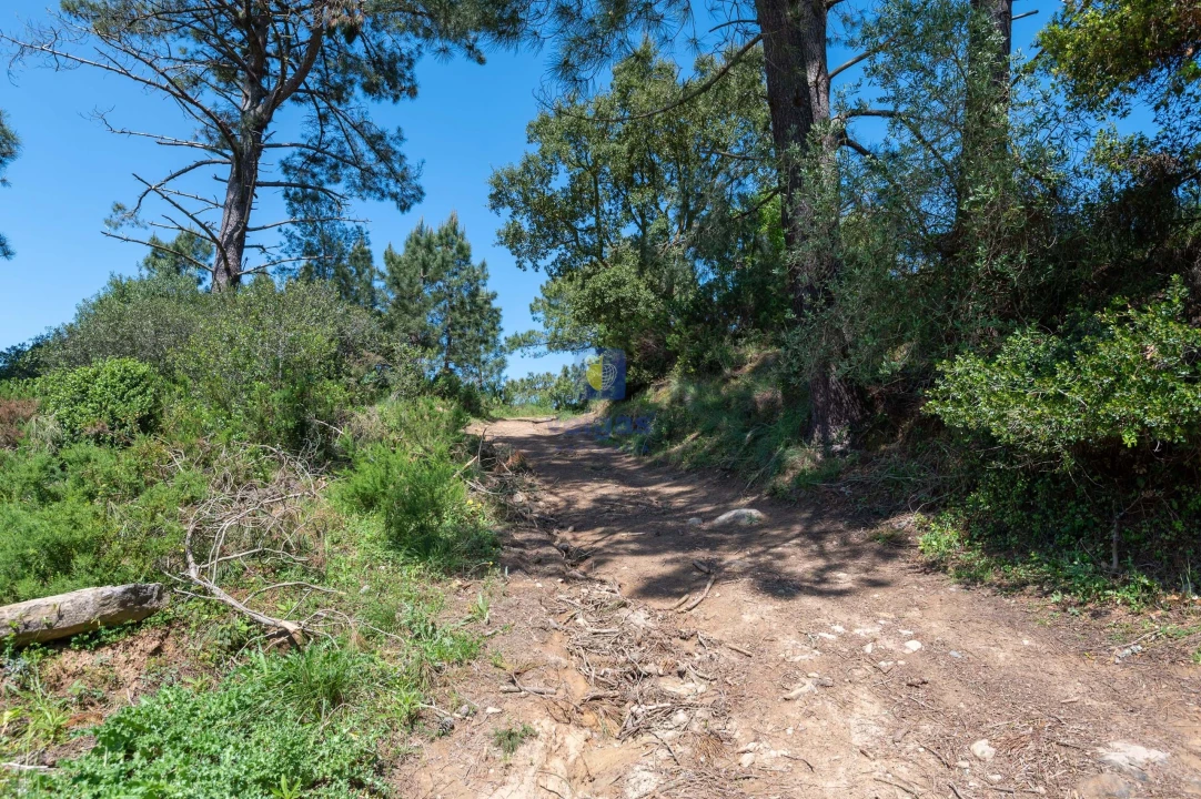 Terreno Agricola ou Rústico para Venda em Maxial e Monte Redondo Foto 9
