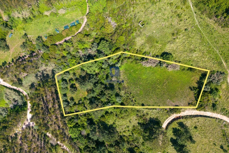 Terreno Agricola ou Rústico para Venda em Maxial e Monte Redondo Foto 12