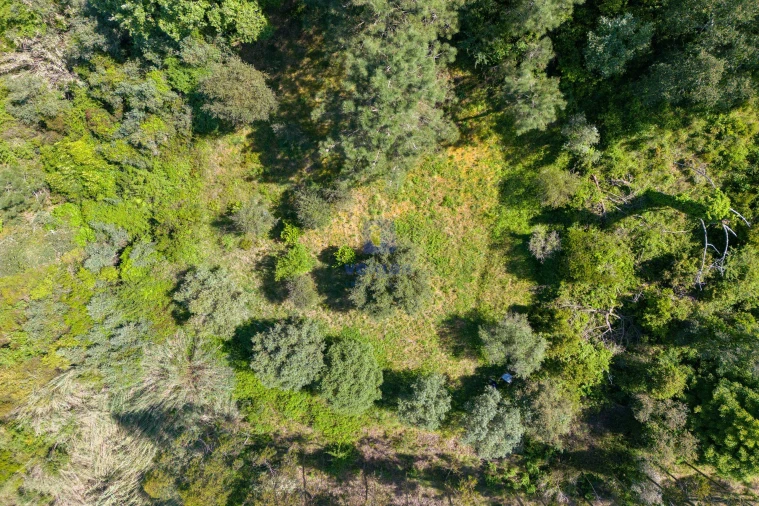 Terreno Agricola ou Rústico para Venda em Maxial e Monte Redondo Foto 7