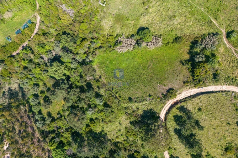 Terreno Agricola ou Rústico para Venda em Maxial e Monte Redondo Foto 16