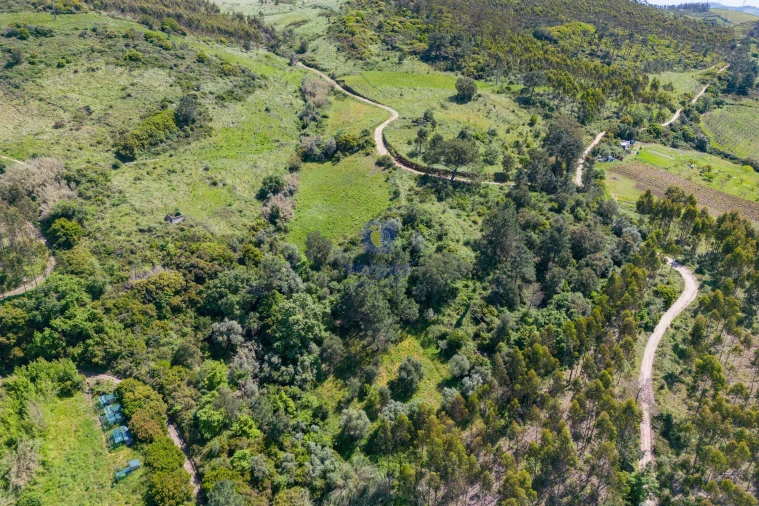 Terreno Agricola ou Rústico para Venda em Maxial e Monte Redondo Foto 8