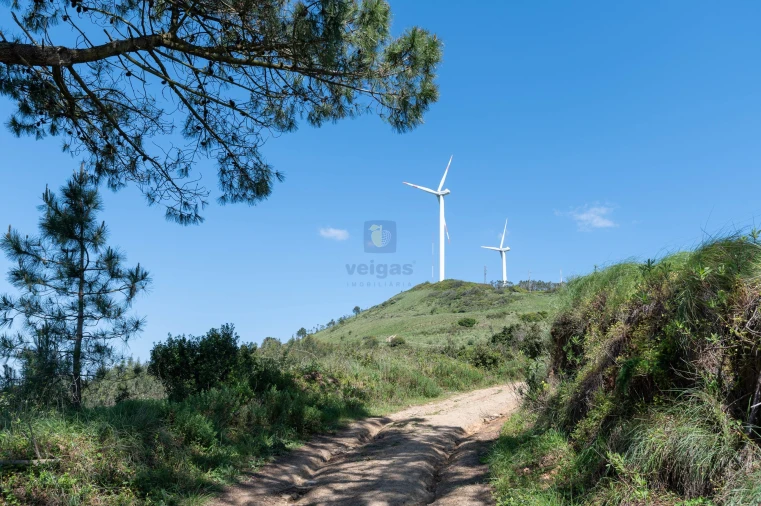 Terreno Agricola ou Rústico para Venda em Maxial e Monte Redondo Foto 11