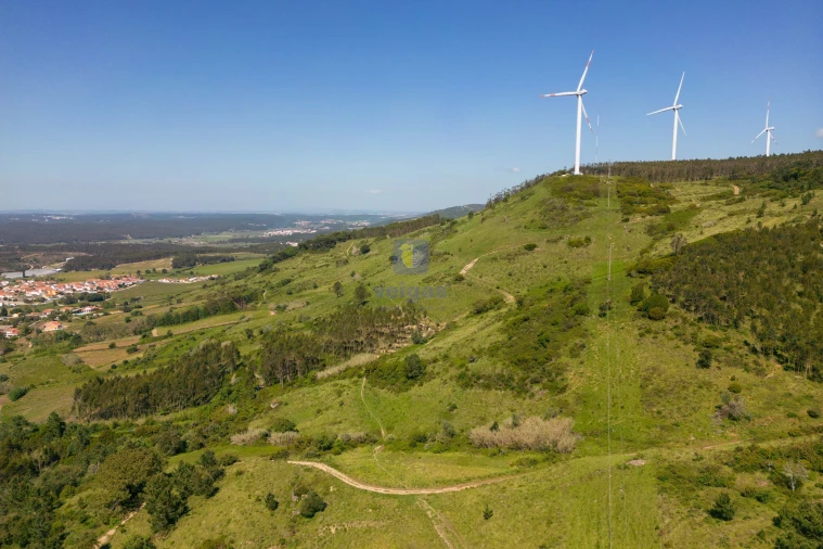 Terreno Agricola ou Rústico para Venda em Maxial e Monte Redondo Foto 17