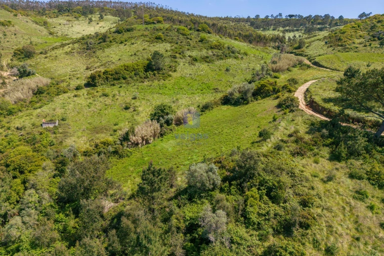 Terreno Agricola ou Rústico para Venda em Maxial e Monte Redondo Foto 13