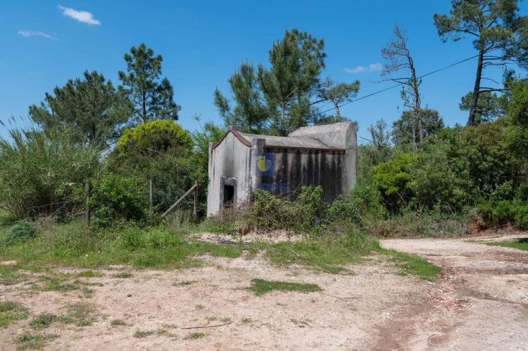 Terreno Agricola ou Rústico para Venda em Maxial e Monte Redondo Foto 4