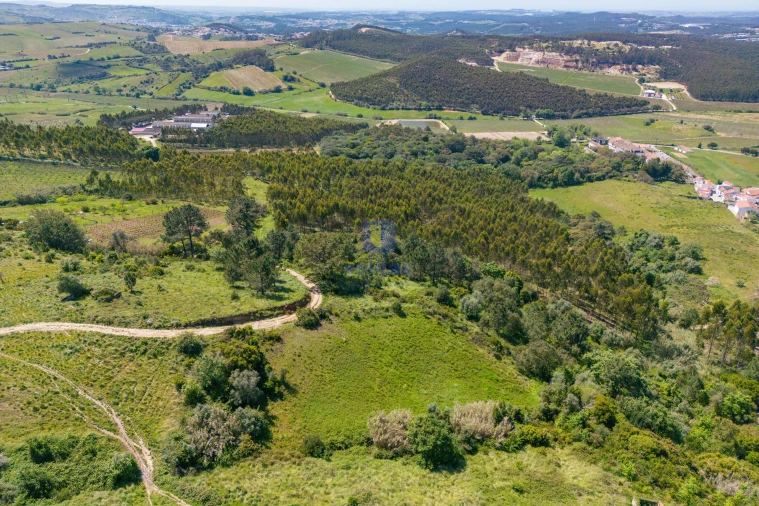 Terreno Agricola ou Rústico para Venda em Maxial e Monte Redondo Foto 15