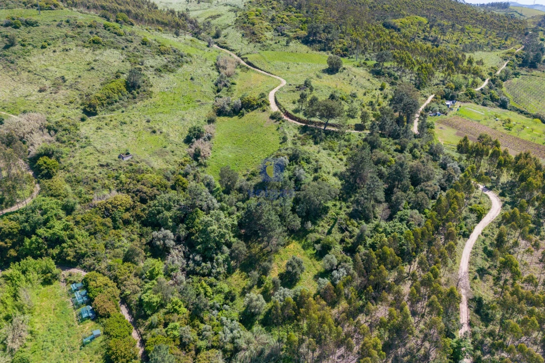 Terreno Agricola ou Rústico para Venda em Maxial e Monte Redondo Foto 8