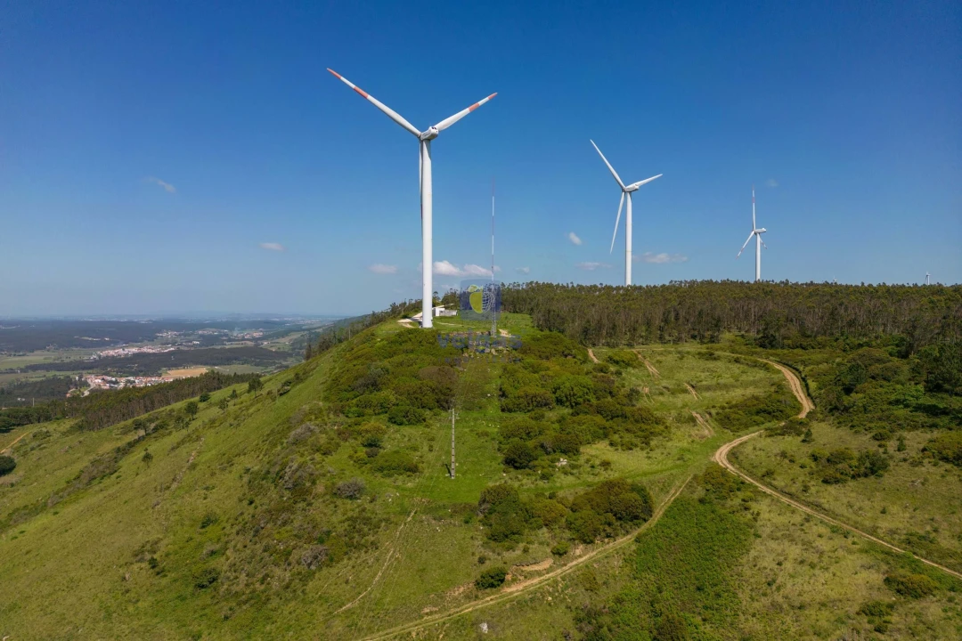 Terreno Agricola ou Rústico para Venda em Maxial e Monte Redondo Foto 3