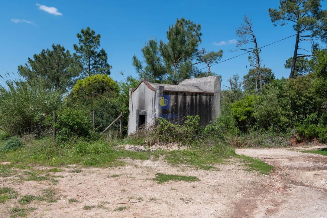 Terreno Agricola ou Rústico para Venda em Maxial e Monte Redondo Foto 4