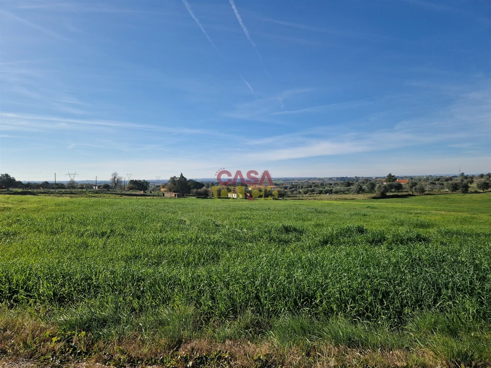 Armazém para Venda em Brogueira, Parceiros de Igreja e Alcorochel Foto 13
