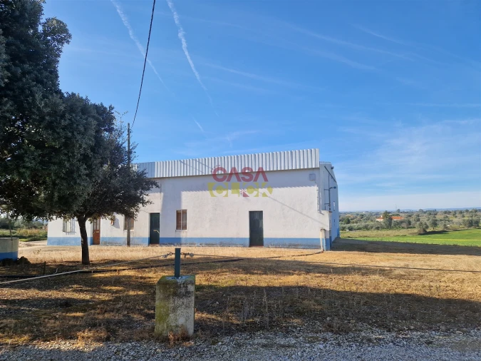 Armazém para Venda em Brogueira, Parceiros de Igreja e Alcorochel Foto 4